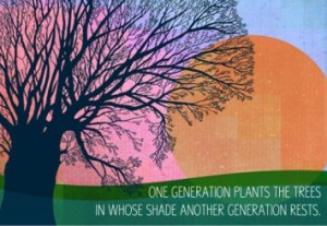 One generation plants the trees