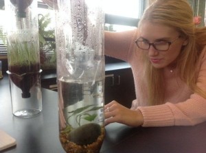 Jesuit senior Madison Beary takes a water sample from her eco-column ecosystem model to test levels of nitrogen, phosphate, pH and dissolved oxygen in the aquatic fish habitat of the eco-column. [SOURCE: Jesuit High School]