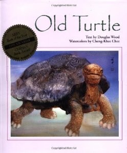 old turtle