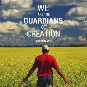 Pope Francis - We are guardians of creation